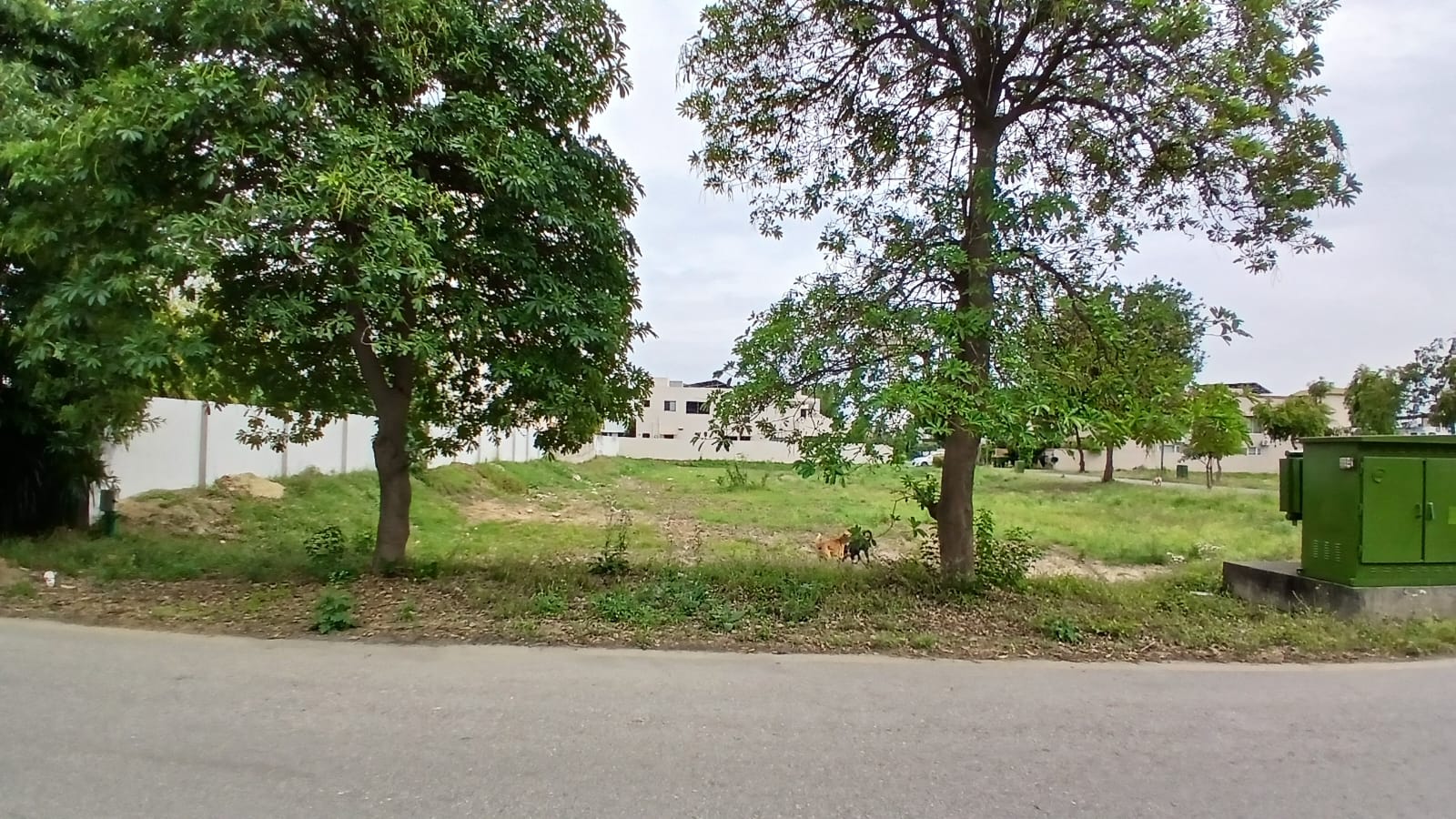 Hot Deal 10 Marla Plot For Sale On Investor rate DHA Phase 8  Plot # Z3 59