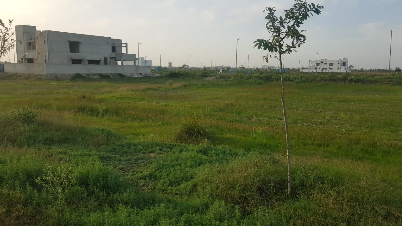 12 kanal farm house 🏡 available for sale 300 ft. Front Bedian Road in Thethar......Top Notch Location..........