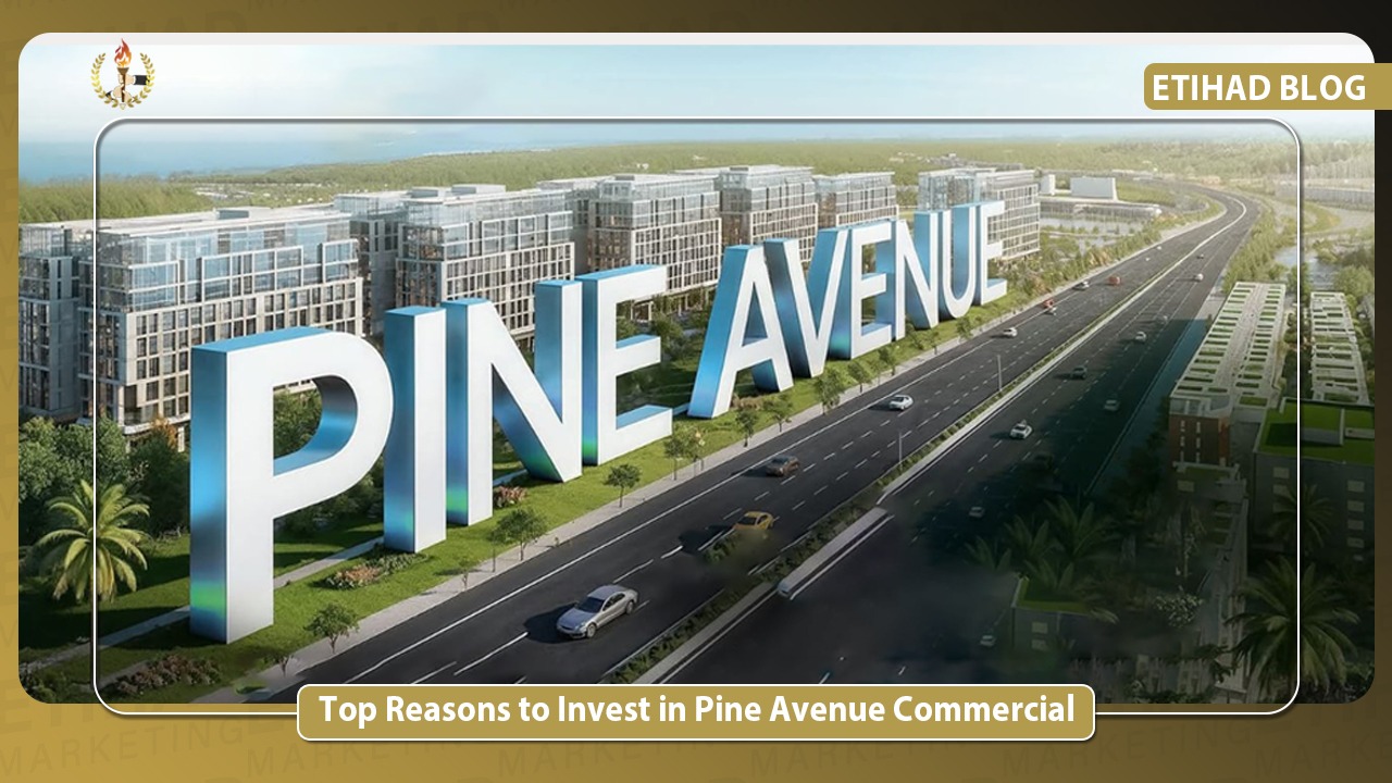 Top Reasons to Invest in Pine Avenue Commercial